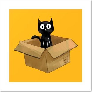 Cat in the box Posters and Art